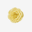 BLOSSOMS Gum Paste: Pastel Yellow 250g
