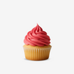 Pink Flamingo, Food Colouring, Gel, Food Gel, South Africa, Halal